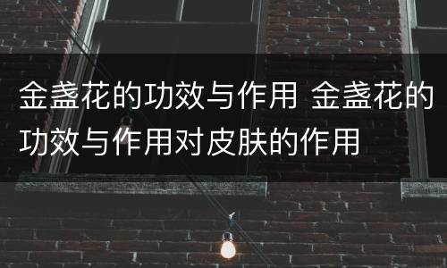 金盏花的功效与作用 金盏花的功效与作用对皮肤的作用