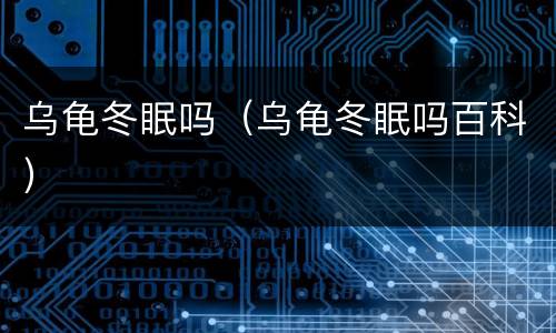 乌龟冬眠吗（乌龟冬眠吗百科）