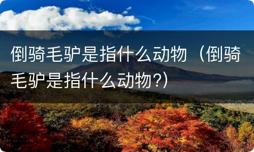 倒骑毛驴是指什么动物（倒骑毛驴是指什么动物?）