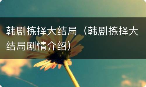 韩剧拣择大结局（韩剧拣择大结局剧情介绍）