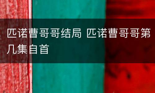 匹诺曹哥哥结局 匹诺曹哥哥第几集自首