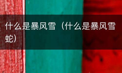什么是暴风雪（什么是暴风雪蛇）