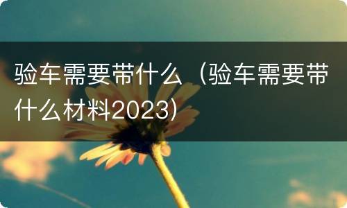 验车需要带什么（验车需要带什么材料2023）