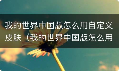 我的世界中国版怎么用自定义皮肤（我的世界中国版怎么用自定义皮肤模组）