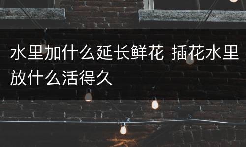 水里加什么延长鲜花 插花水里放什么活得久