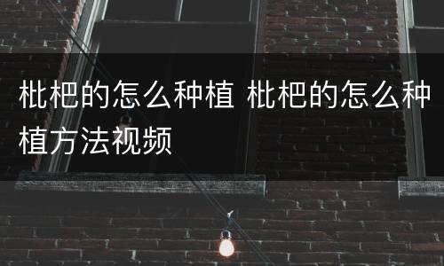 枇杷的怎么种植 枇杷的怎么种植方法视频