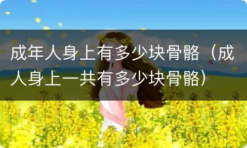 成年人身上有多少块骨骼（成人身上一共有多少块骨骼）
