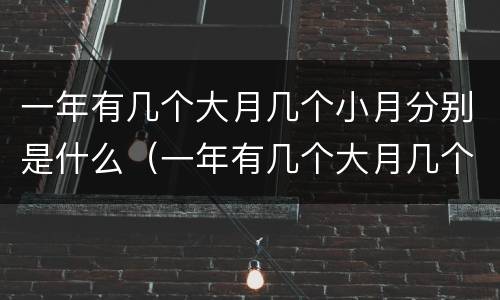 一年有几个大月几个小月分别是什么（一年有几个大月几个小月几个平月）