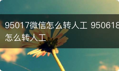 95017微信怎么转人工 950618怎么转人工