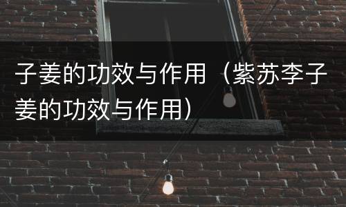 子姜的功效与作用（紫苏李子姜的功效与作用）