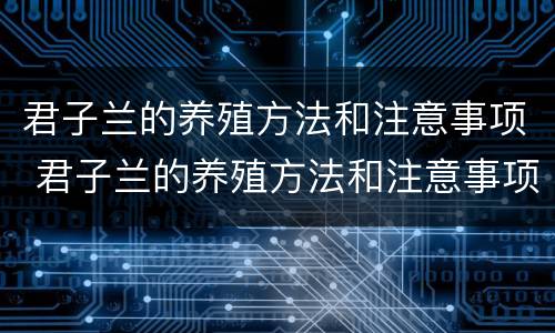 君子兰的养殖方法和注意事项 君子兰的养殖方法和注意事项君子兰浇水
