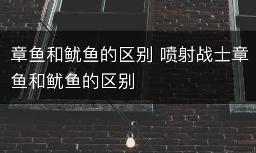 章鱼和鱿鱼的区别 喷射战士章鱼和鱿鱼的区别