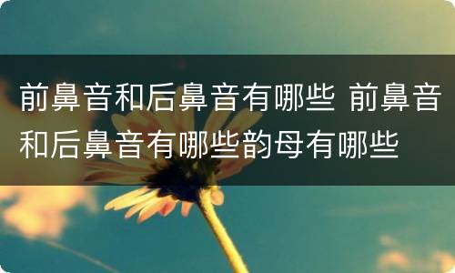 前鼻音和后鼻音有哪些 前鼻音和后鼻音有哪些韵母有哪些