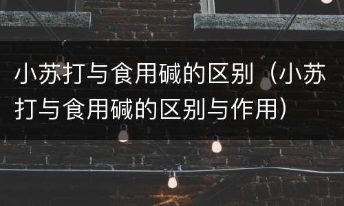 小苏打与食用碱的区别（小苏打与食用碱的区别与作用）