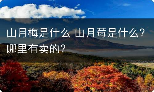 山月梅是什么 山月莓是什么?哪里有卖的?