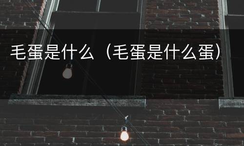 毛蛋是什么（毛蛋是什么蛋）