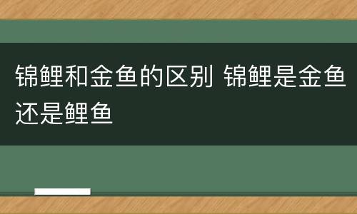 锦鲤和金鱼的区别 锦鲤是金鱼还是鲤鱼