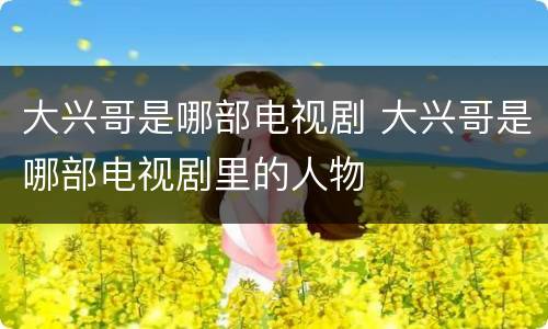 大兴哥是哪部电视剧 大兴哥是哪部电视剧里的人物
