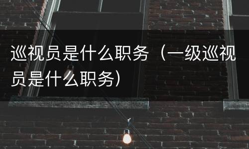 巡视员是什么职务（一级巡视员是什么职务）