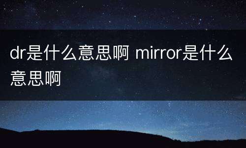 dr是什么意思啊 mirror是什么意思啊