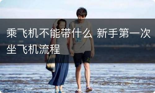 乘飞机不能带什么 新手第一次坐飞机流程