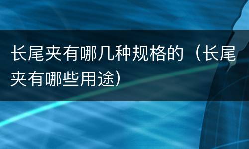 长尾夹有哪几种规格的（长尾夹有哪些用途）