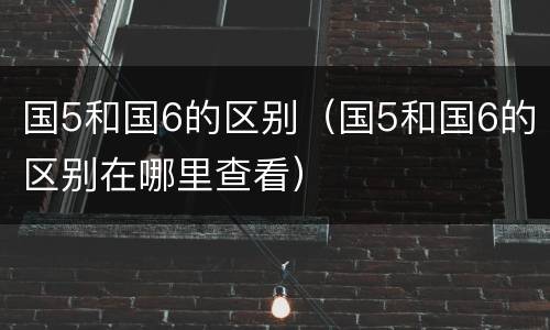 国5和国6的区别（国5和国6的区别在哪里查看）