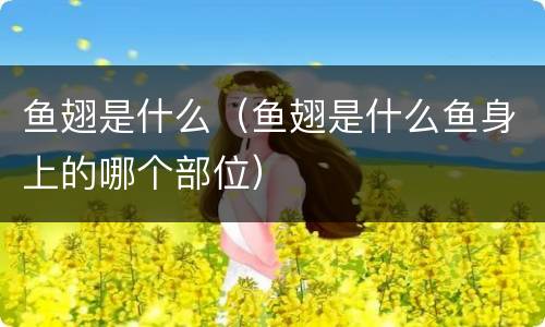 鱼翅是什么（鱼翅是什么鱼身上的哪个部位）