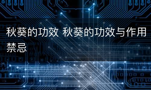 秋葵的功效 秋葵的功效与作用禁忌