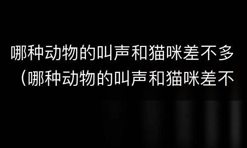 哪种动物的叫声和猫咪差不多（哪种动物的叫声和猫咪差不多?）