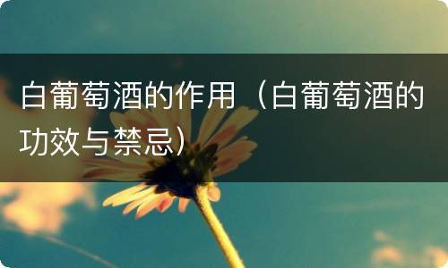 白葡萄酒的作用（白葡萄酒的功效与禁忌）
