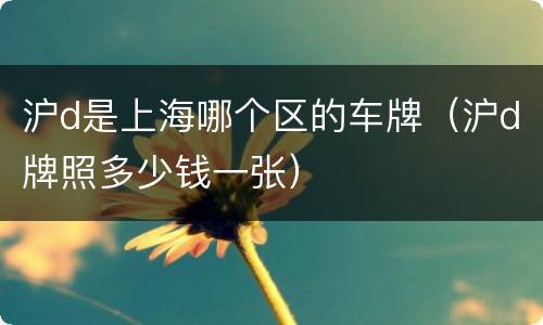 沪d是上海哪个区的车牌（沪d牌照多少钱一张）