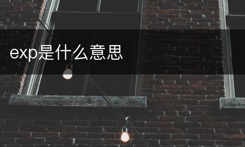 exp是什么意思