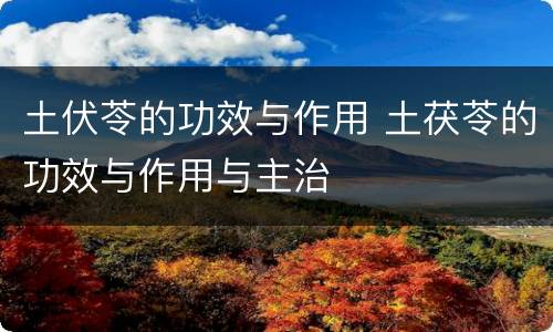 土伏苓的功效与作用 土茯苓的功效与作用与主治