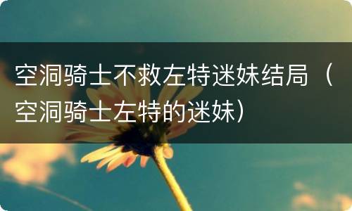 空洞骑士不救左特迷妹结局（空洞骑士左特的迷妹）