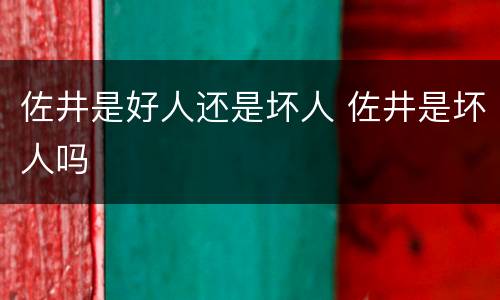 佐井是好人还是坏人 佐井是坏人吗