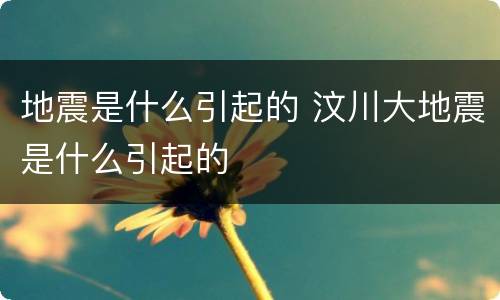 地震是什么引起的 汶川大地震是什么引起的