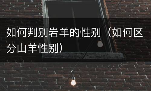 如何判别岩羊的性别（如何区分山羊性别）