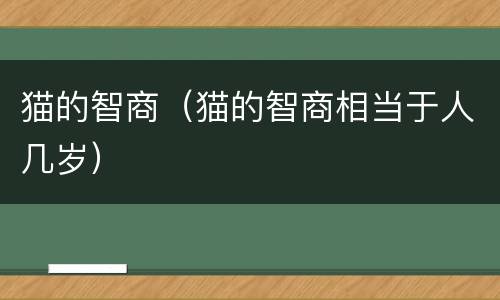 猫的智商（猫的智商相当于人几岁）