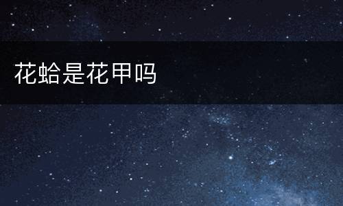 花蛤是花甲吗