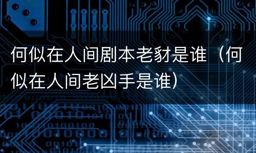 何似在人间剧本老豺是谁（何似在人间老凶手是谁）