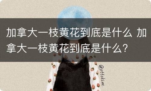加拿大一枝黄花到底是什么 加拿大一枝黄花到底是什么?