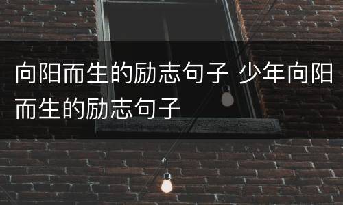 向阳而生的励志句子 少年向阳而生的励志句子