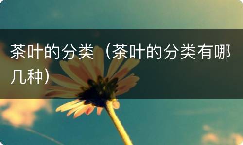 茶叶的分类（茶叶的分类有哪几种）