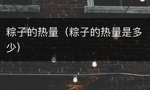 粽子的热量（粽子的热量是多少）