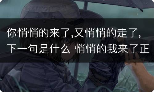 你悄悄的来了,又悄悄的走了,下一句是什么 悄悄的我来了正如我悄悄的走下一句