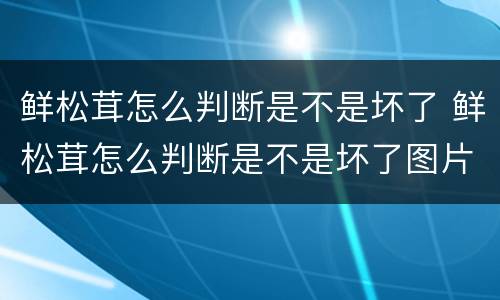 鲜松茸怎么判断是不是坏了 鲜松茸怎么判断是不是坏了图片