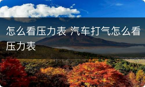 怎么看压力表 汽车打气怎么看压力表