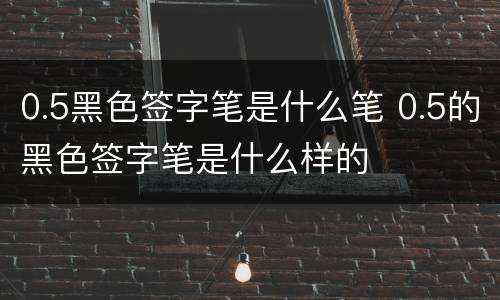 0.5黑色签字笔是什么笔 0.5的黑色签字笔是什么样的
