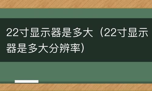 22寸显示器是多大（22寸显示器是多大分辨率）